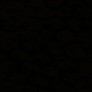 Meet your Posher, Sherry